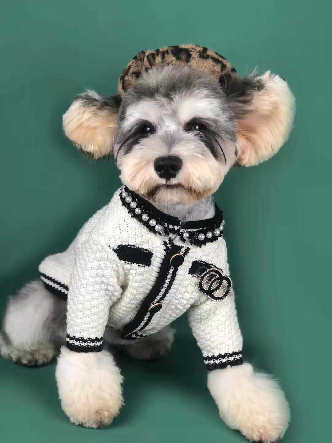 Dog Sweater Image 5