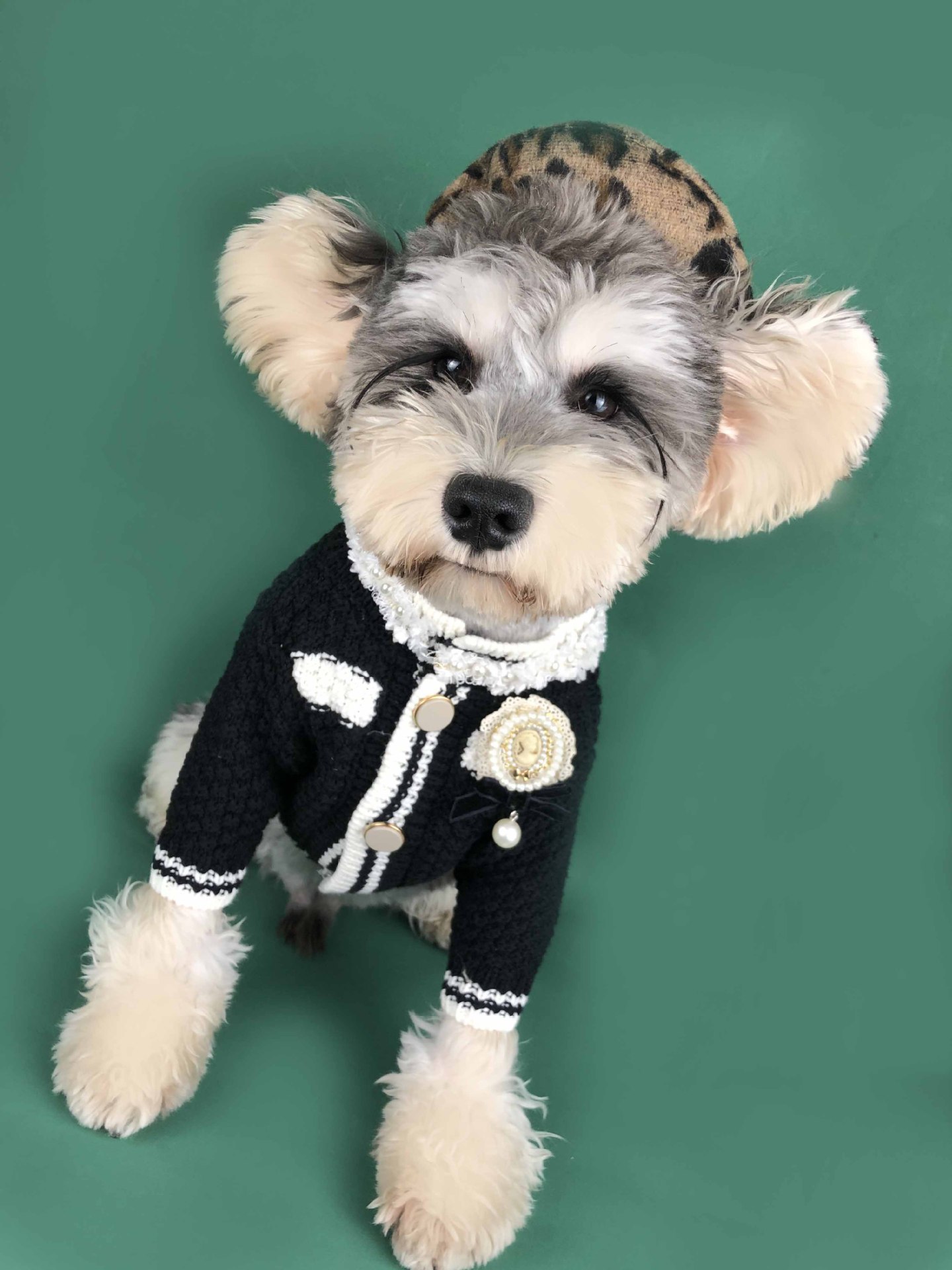 Dog Sweater Image 2