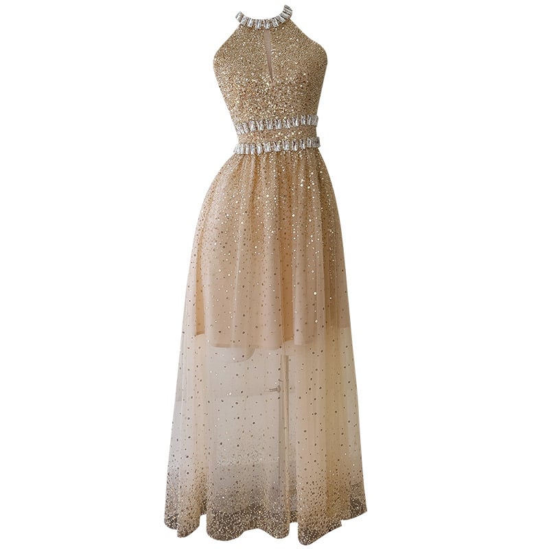 Sequin Gauze Long Dress - Close Up