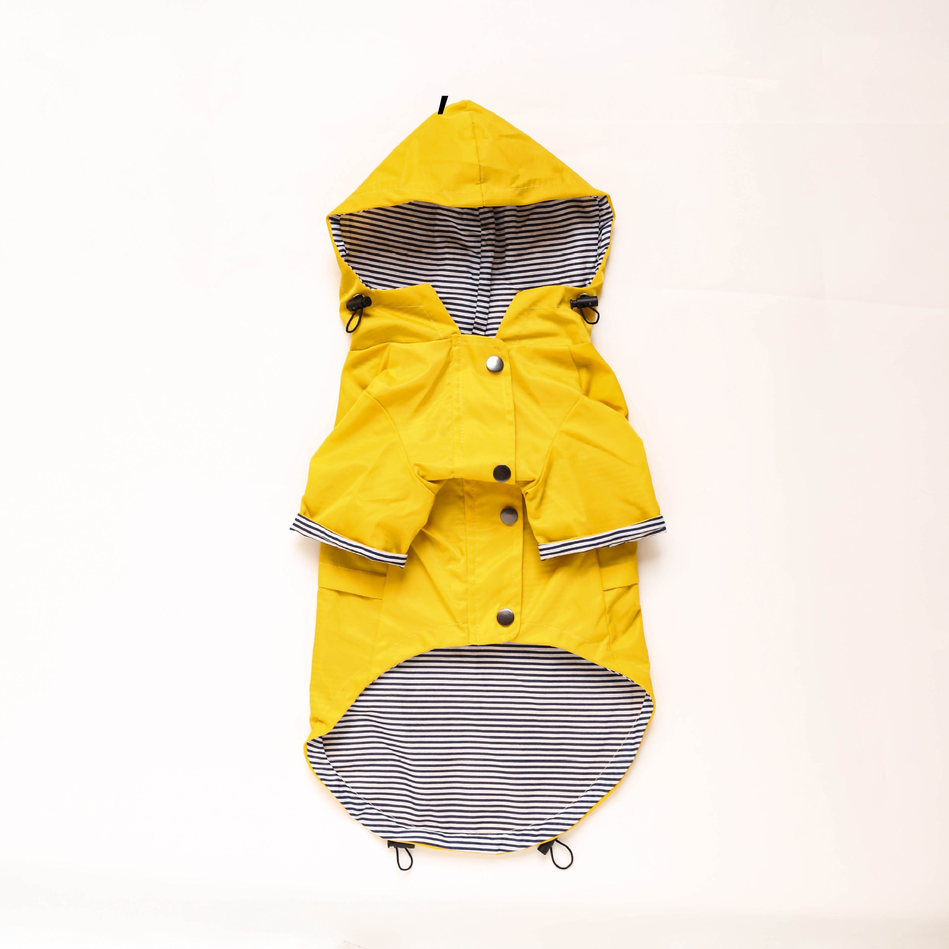 Dog wearing raincoat