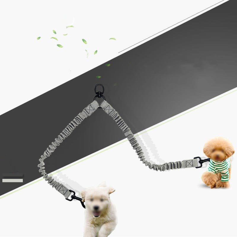 Reflective Double-headed Dog Leash 2
