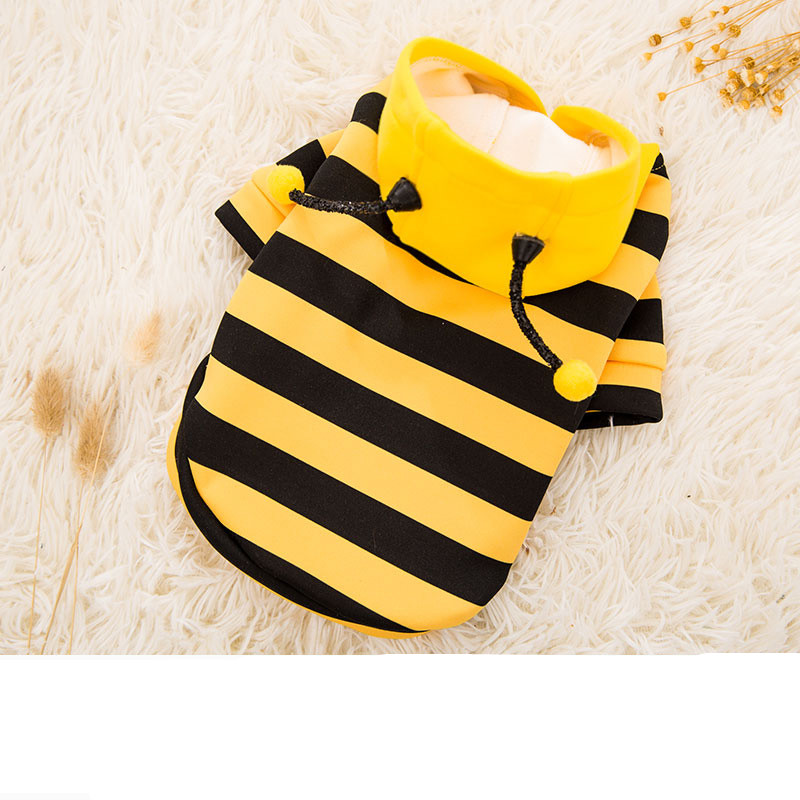 Pet Clothes