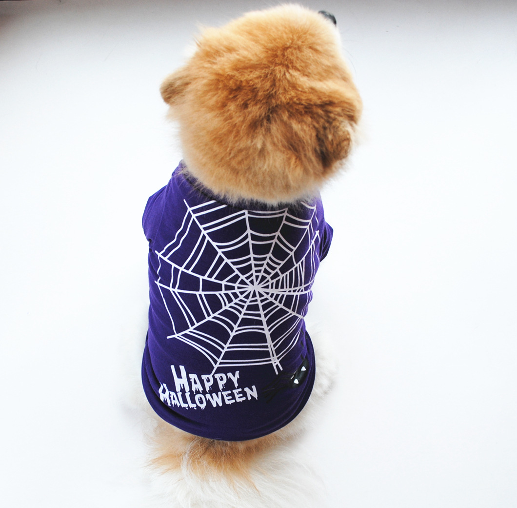 Dog in Halloween Costume