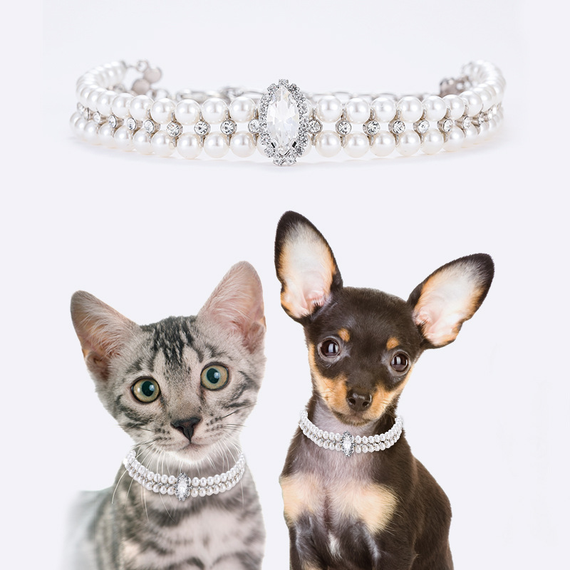 Pet Supplies Collar Design