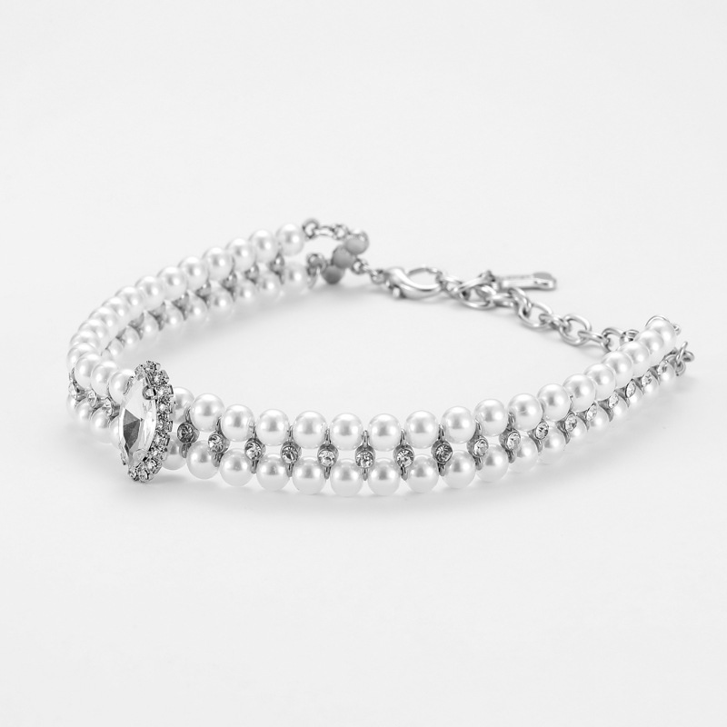 Pet Supplies Collar in Use