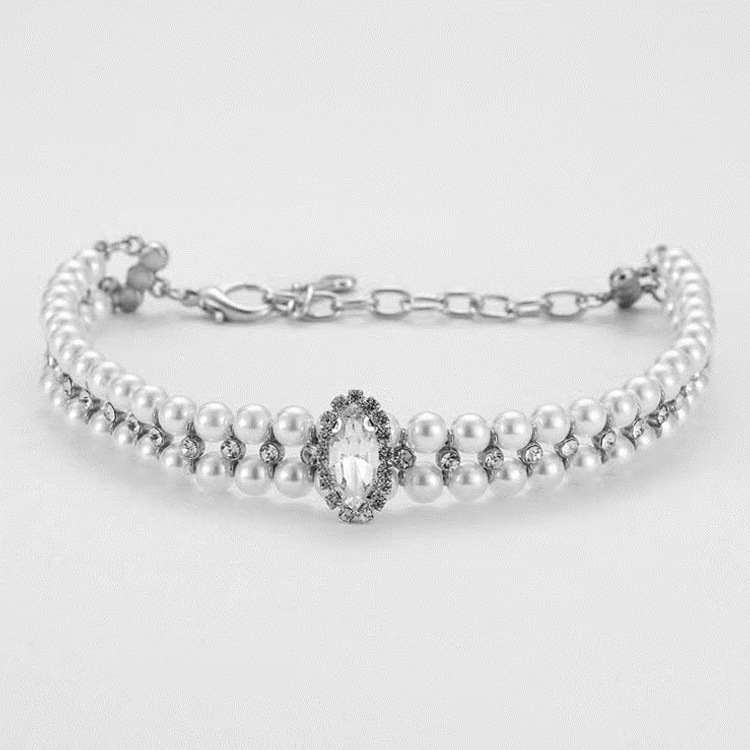 Pet Supplies Collar Variations