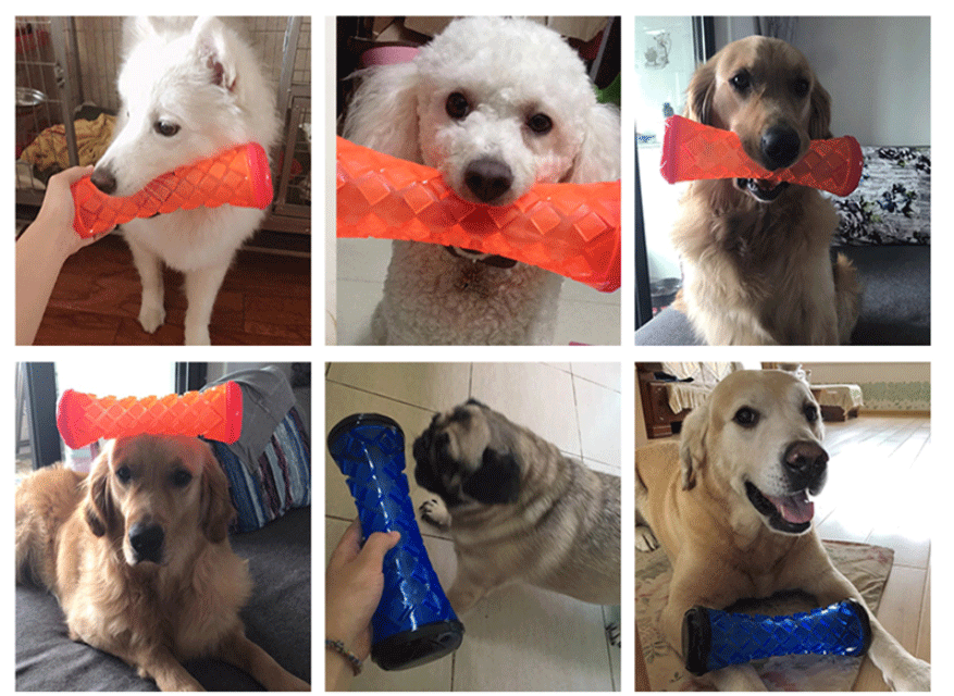 Colorful TPR Pet Toy Image 5