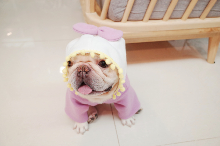 Stylish Dog Sweater