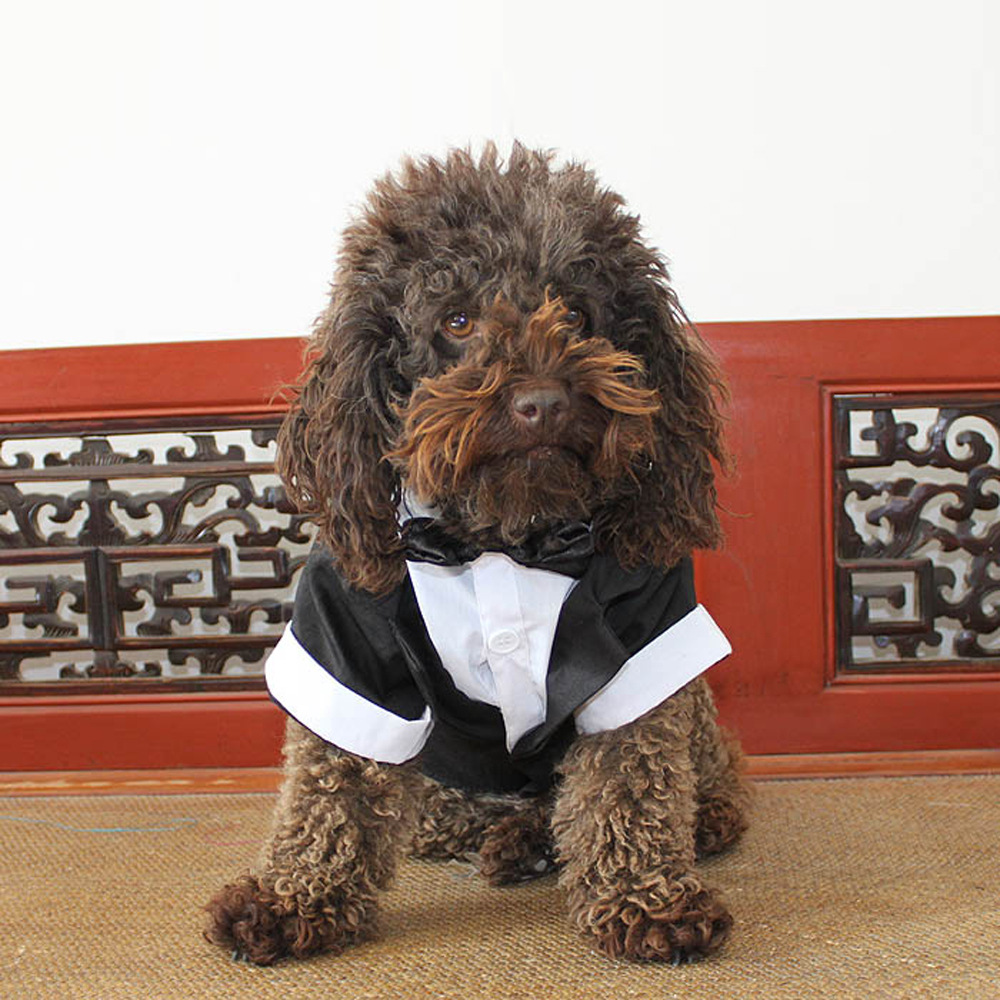 Puppy Gentleman Bow Tie Evening Dress