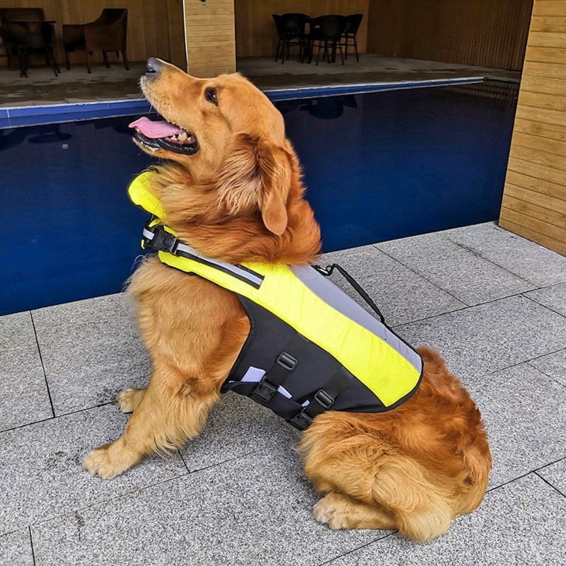 Pet Reflective Airbag Nylon Life Jacket 2