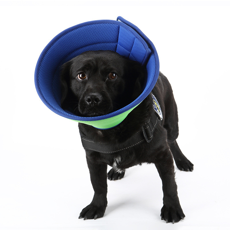 Adjustable Pet Collar