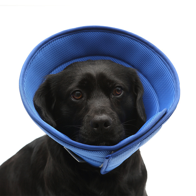 Pet Recovery Collar