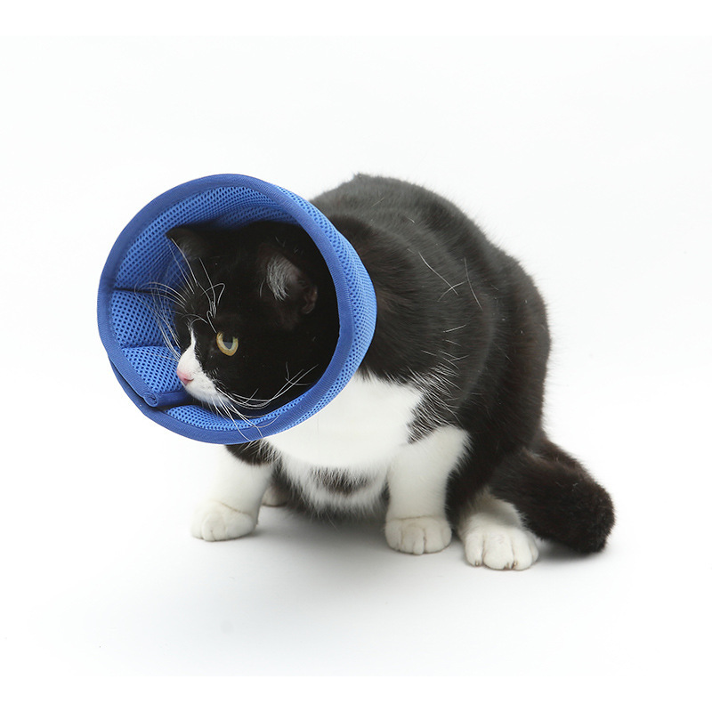 Comfortable Pet Collar