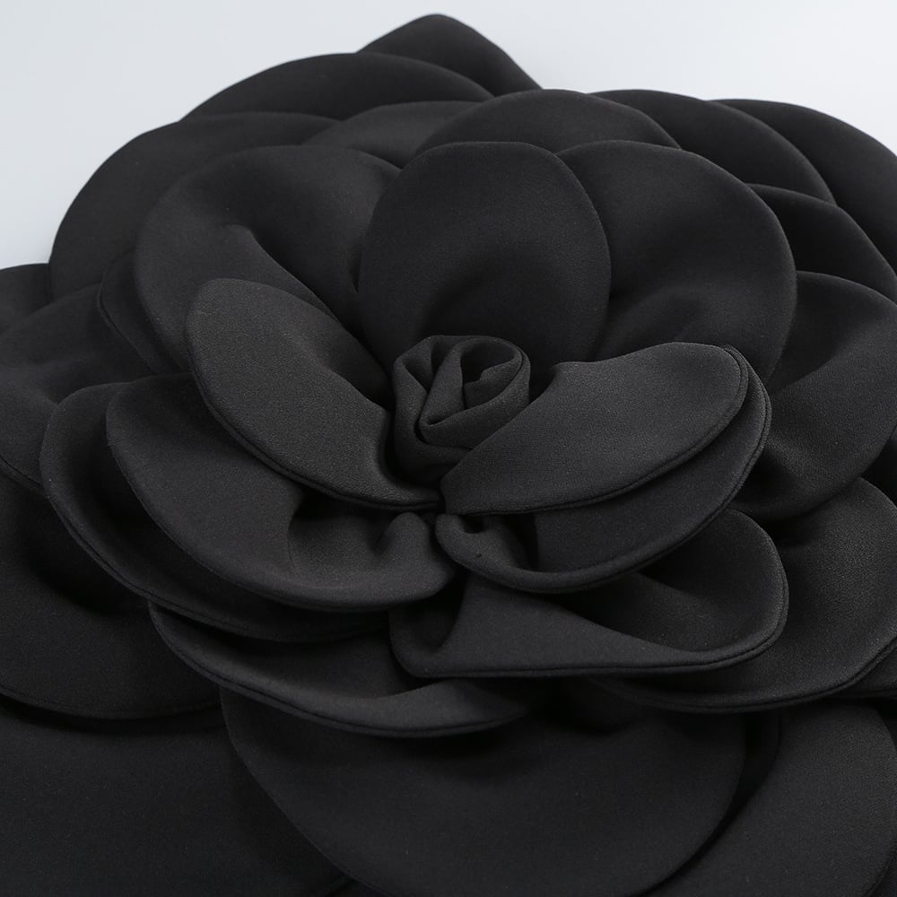 Dress Detail View