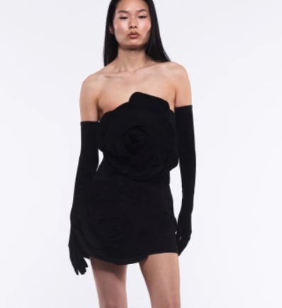 Dress Back View