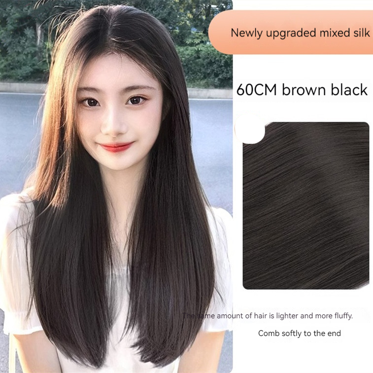 Hair Extension 1