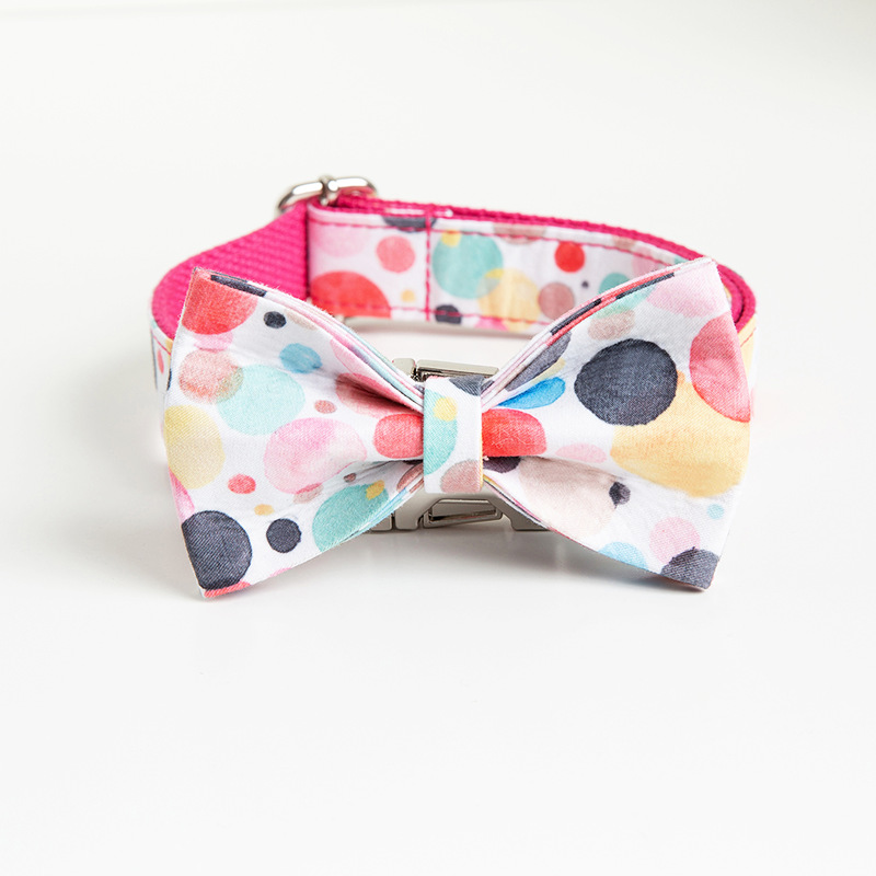Dog Collar in Action