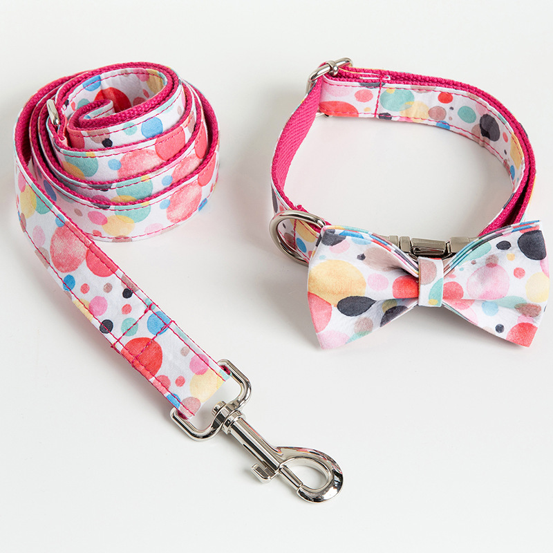Stylish Dog Collar