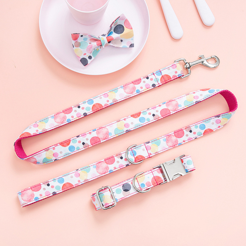 Trendy Dog Collar