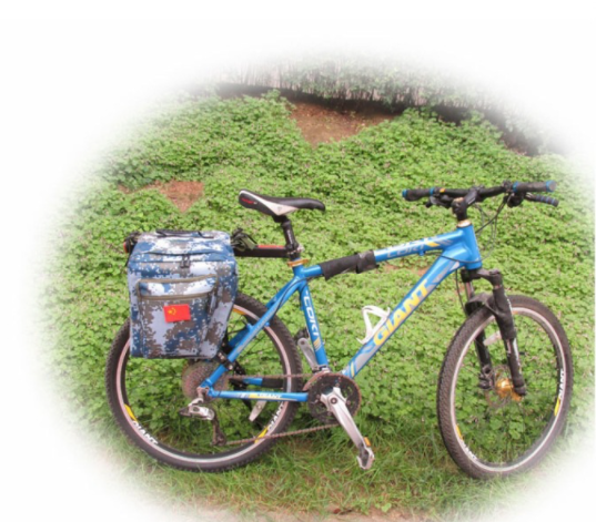 Trunk Bag Image 1