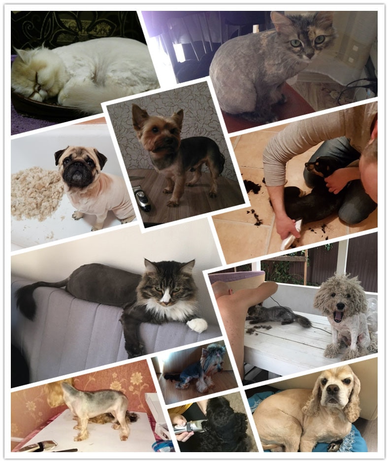 Pet Shaver Image 15