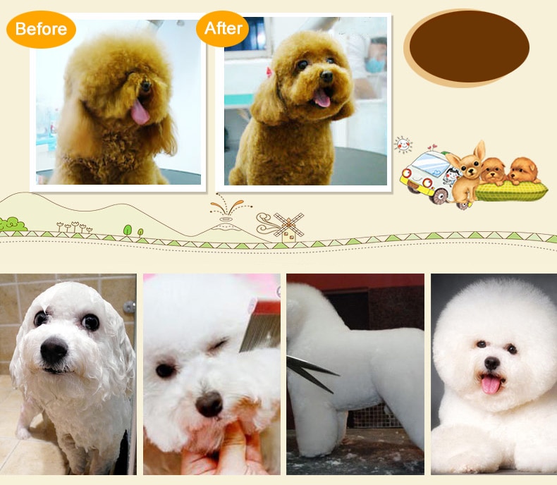 Pet Shaver Image 19