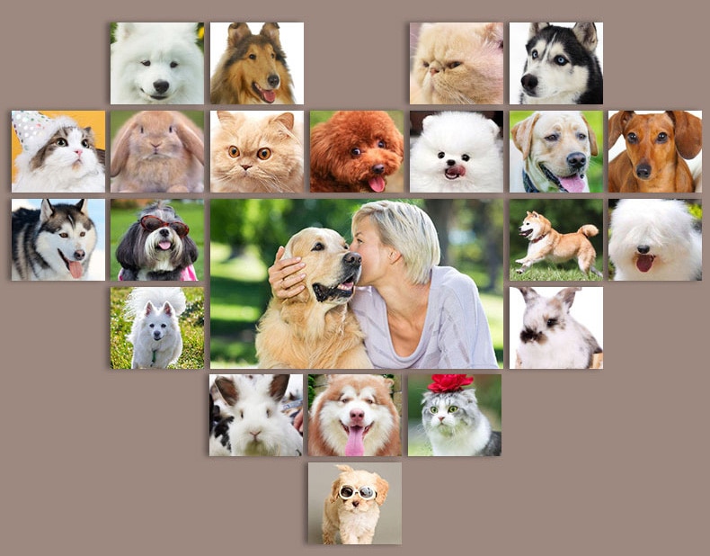 Pet Shaver Image 1