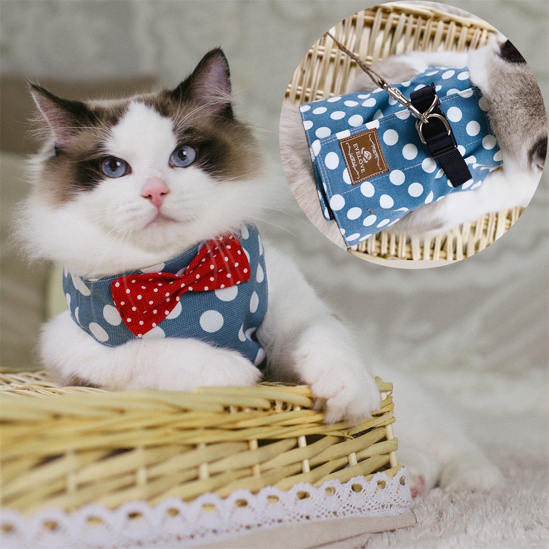 Cute Cat's Chest Back Traction Rope Clothes Image 4