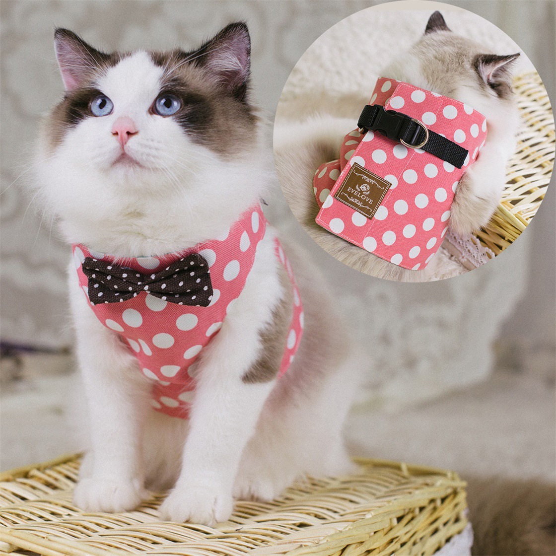 Cute Cat's Chest Back Traction Rope Clothes Image 8