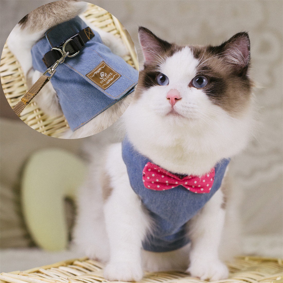 Cute Cat's Chest Back Traction Rope Clothes Image 2