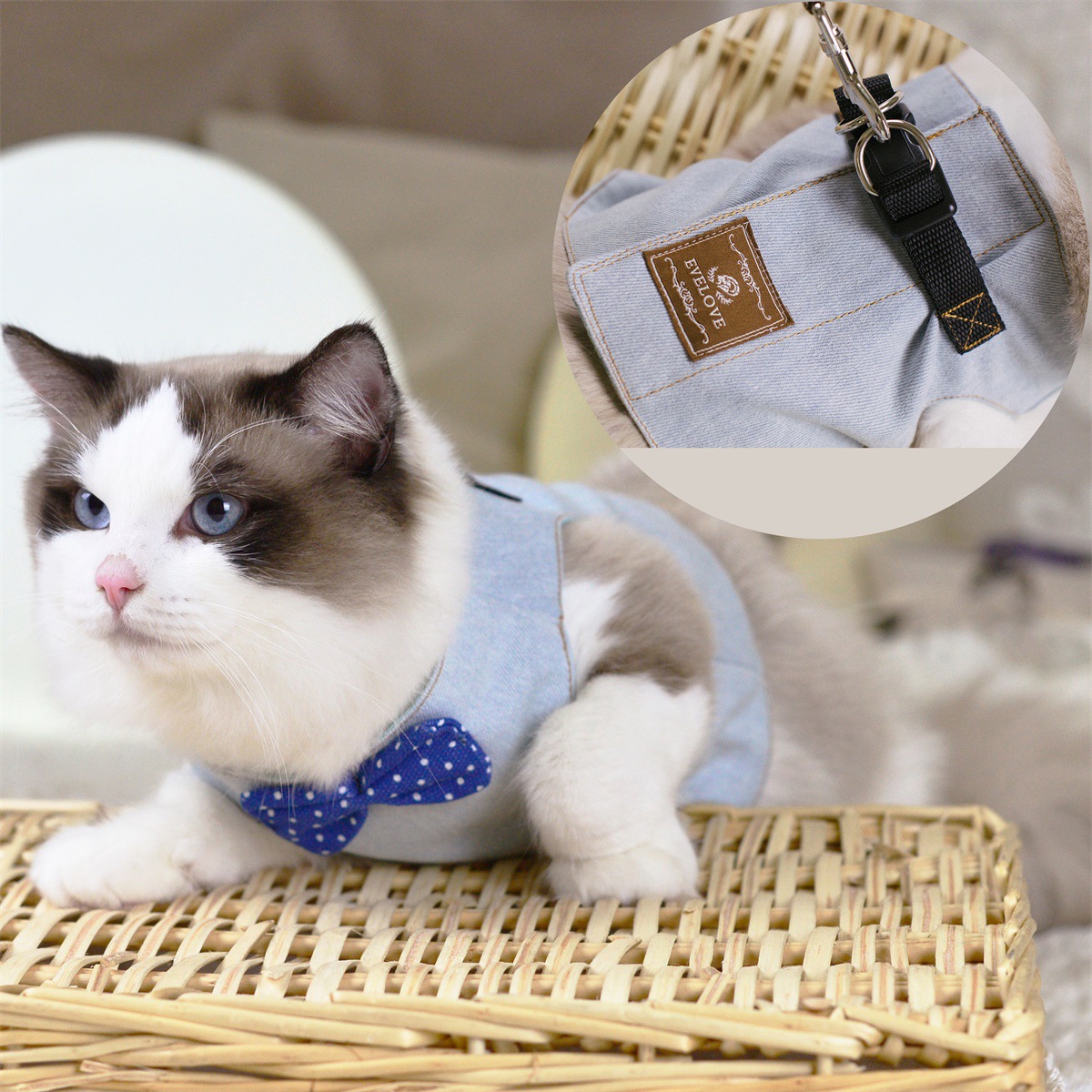 Cute Cat's Chest Back Traction Rope Clothes Image 5