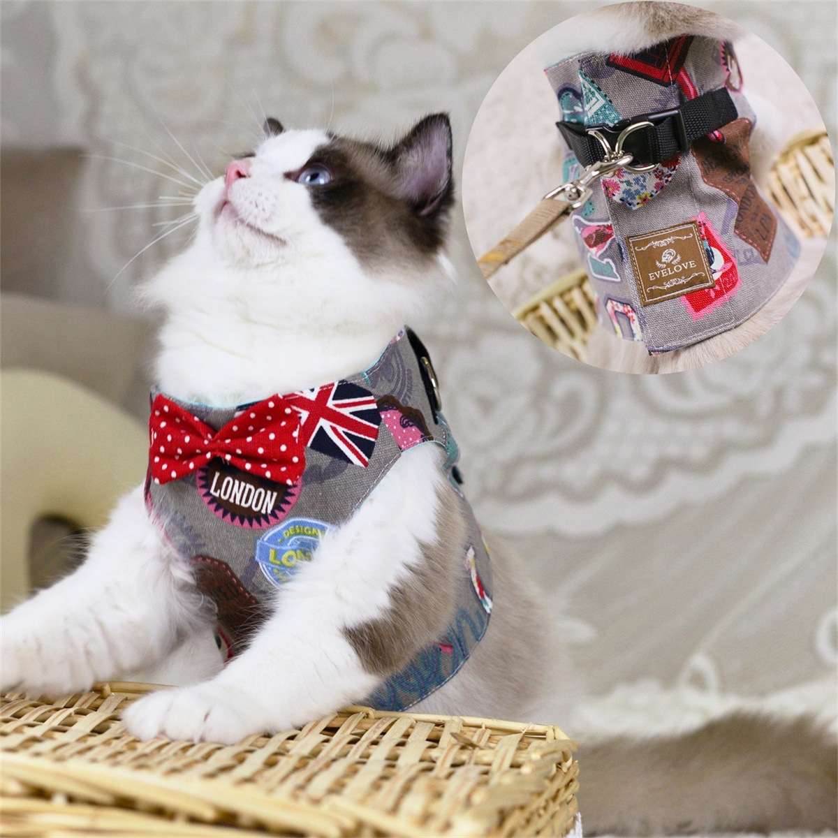 Cute Cat's Chest Back Traction Rope Clothes Image 3
