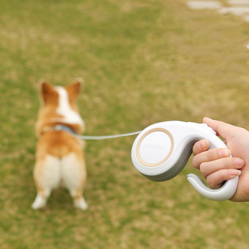 Retractable Leash Image 2