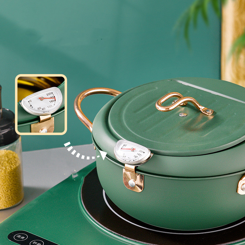 Morandi Non-Stick Fryer with Temperature Control - high-quality product