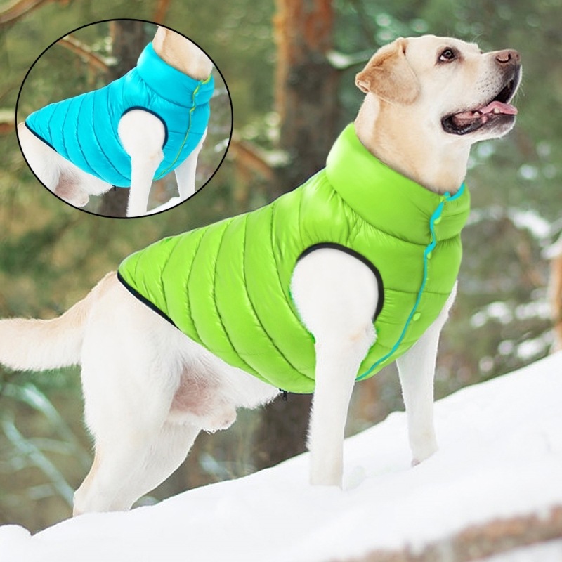 Reversible Dog Vest - Sky Blue + Green