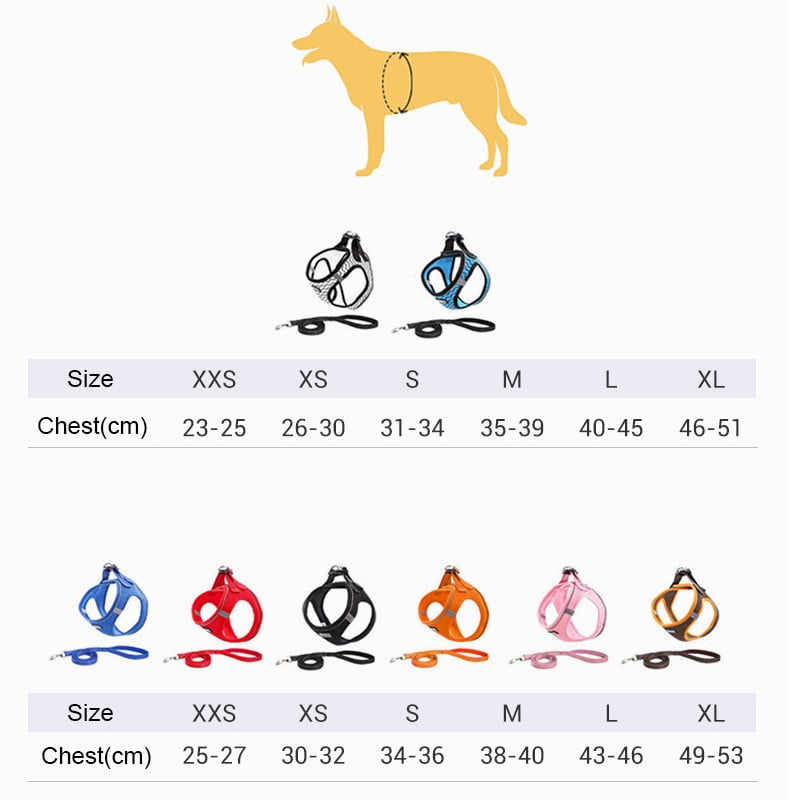 Dog Harness Image 1