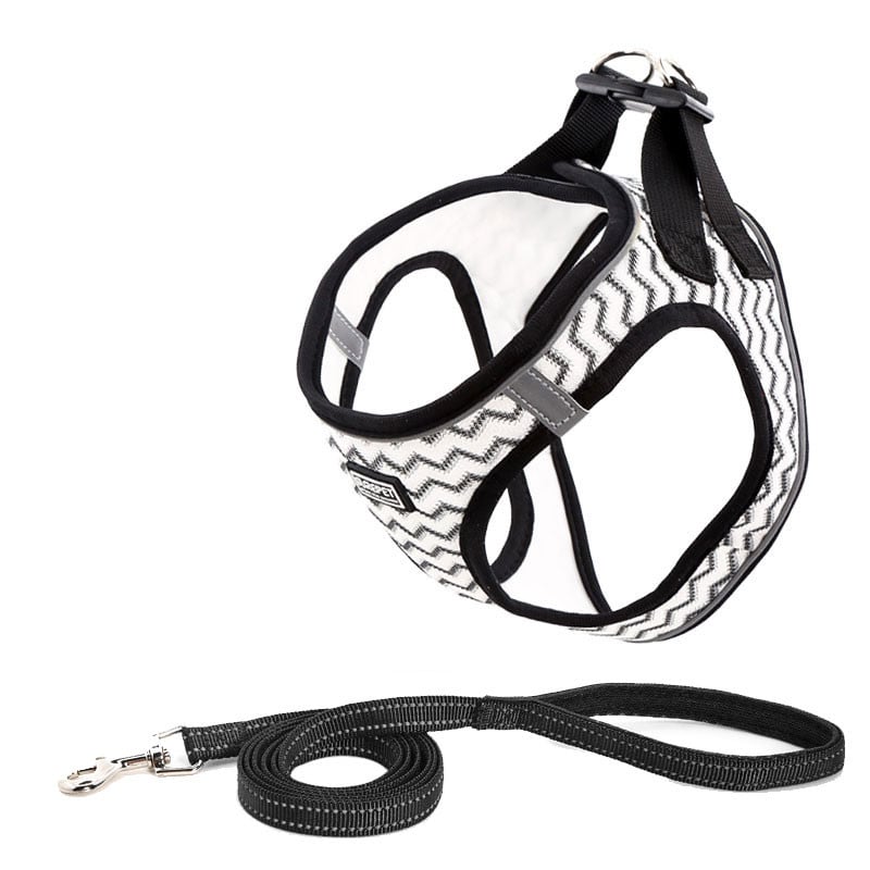 Dog Harness Image 8