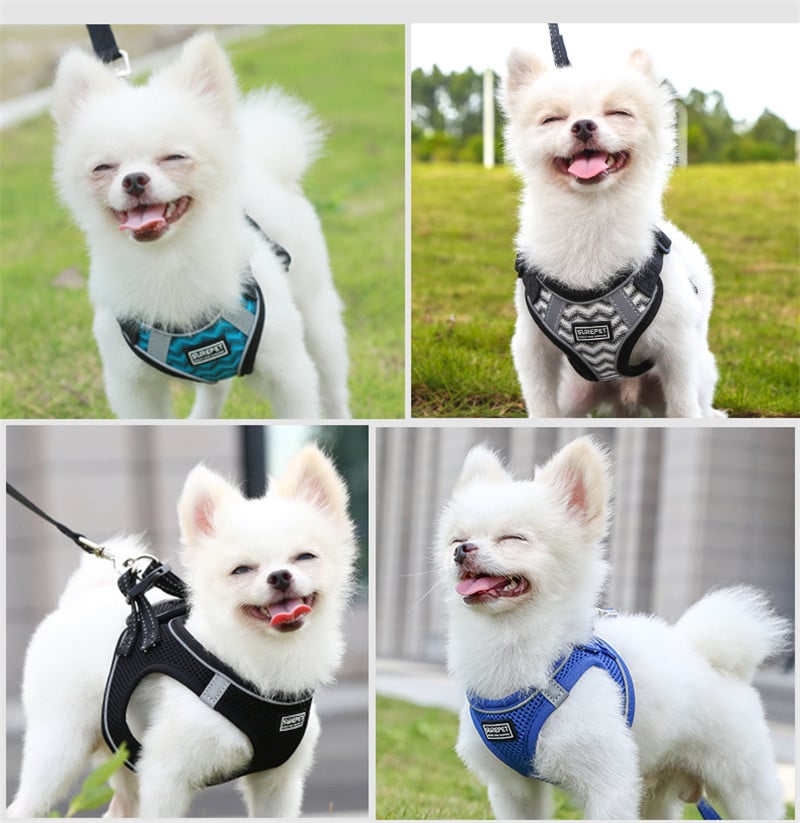 Dog Harness Image 12