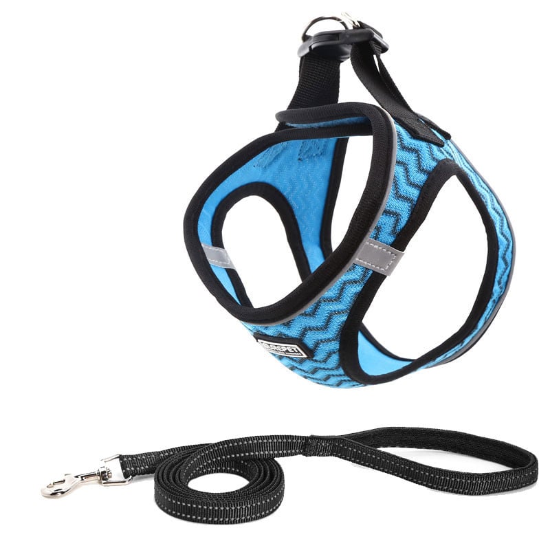 Dog Harness Image 2