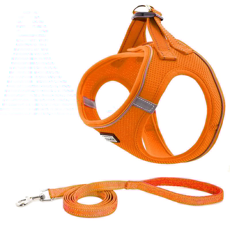 Dog Harness Image 7