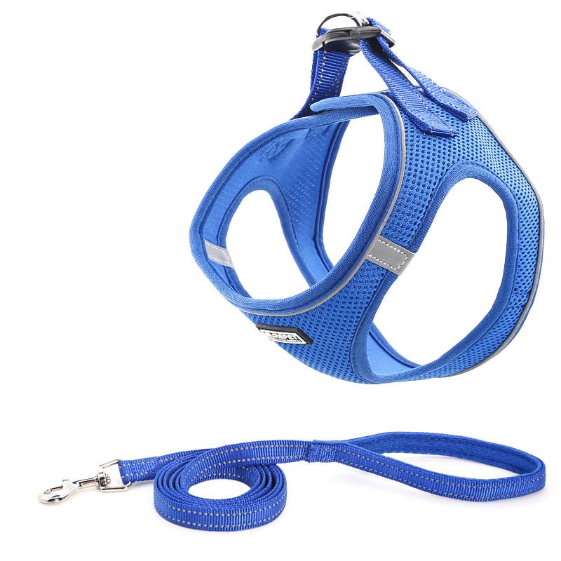 Dog Harness Image 3