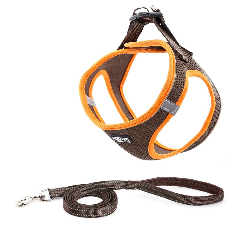 Dog Harness Image 4