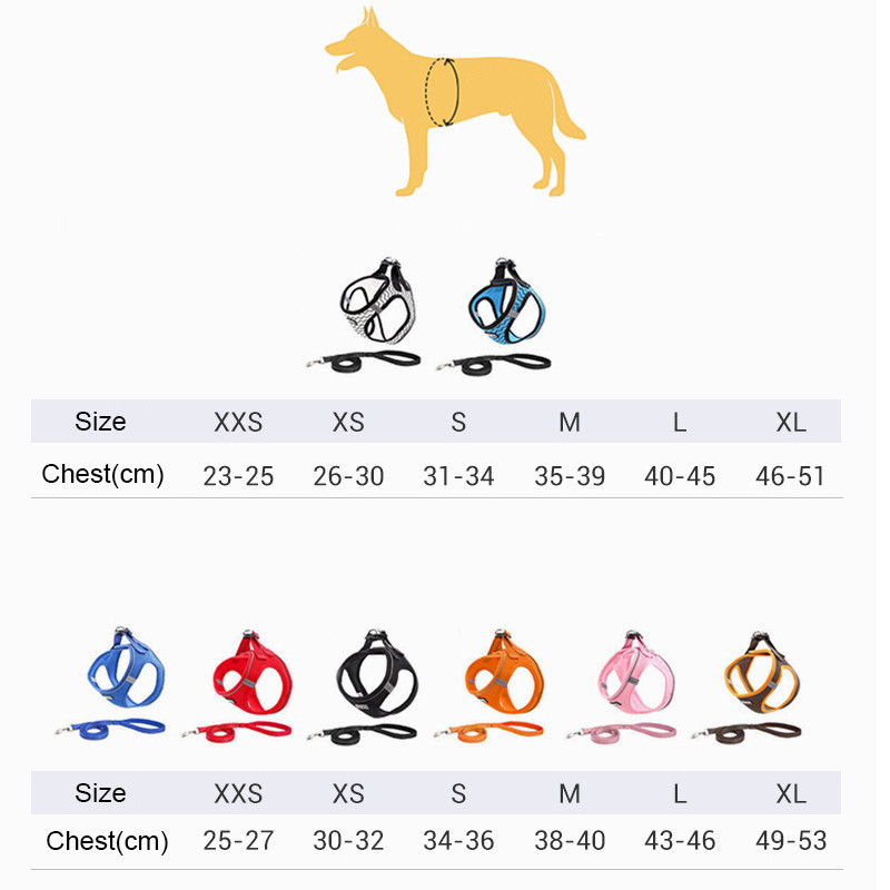 Dog Harness Image 10