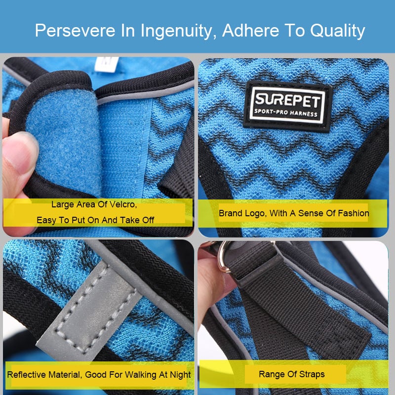 Dog Harness Image 11