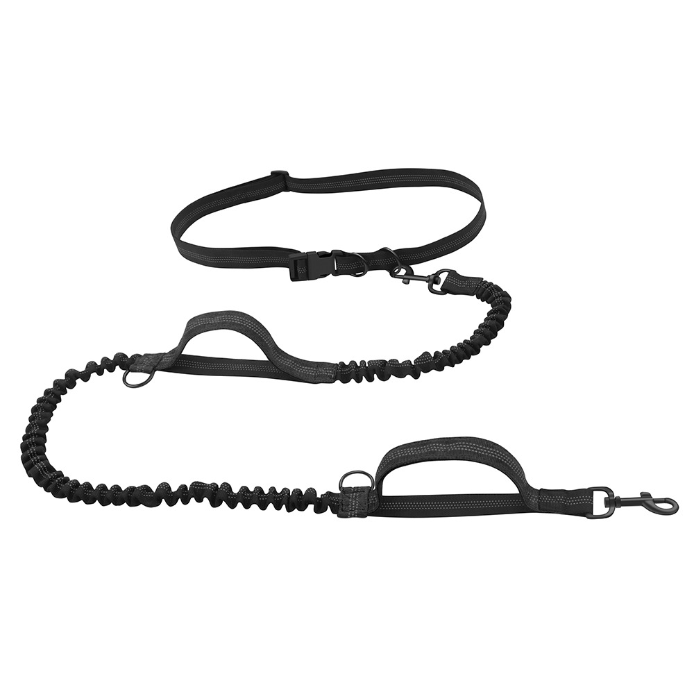 Pet Outing Rope 4