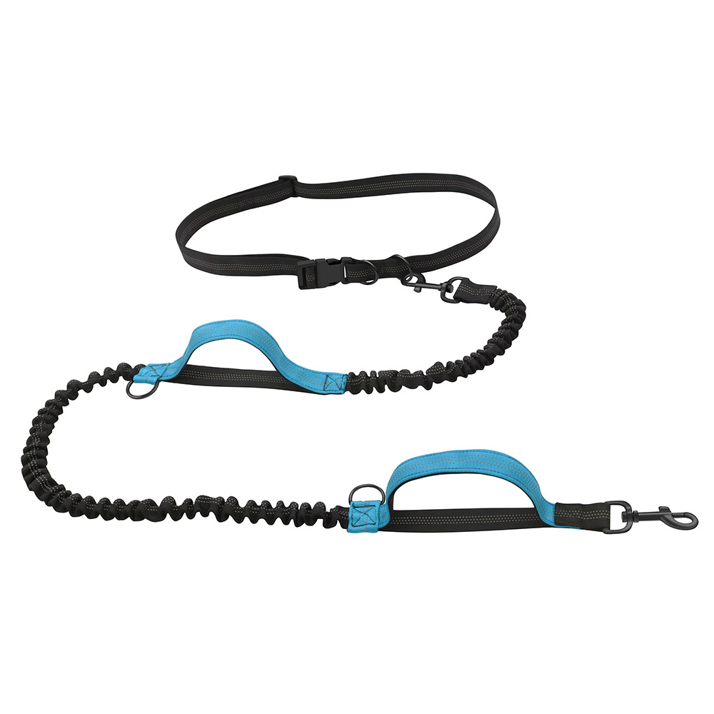 Pet Outing Rope 8