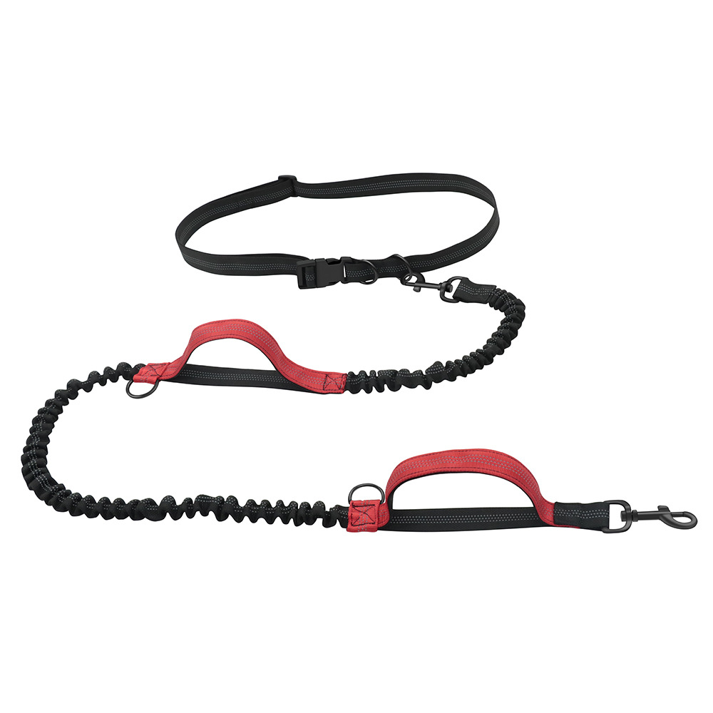 Pet Outing Rope 5