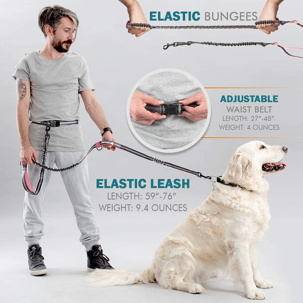 Pet Outing Rope 2