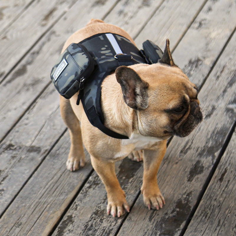 Pet Backpack Image 3