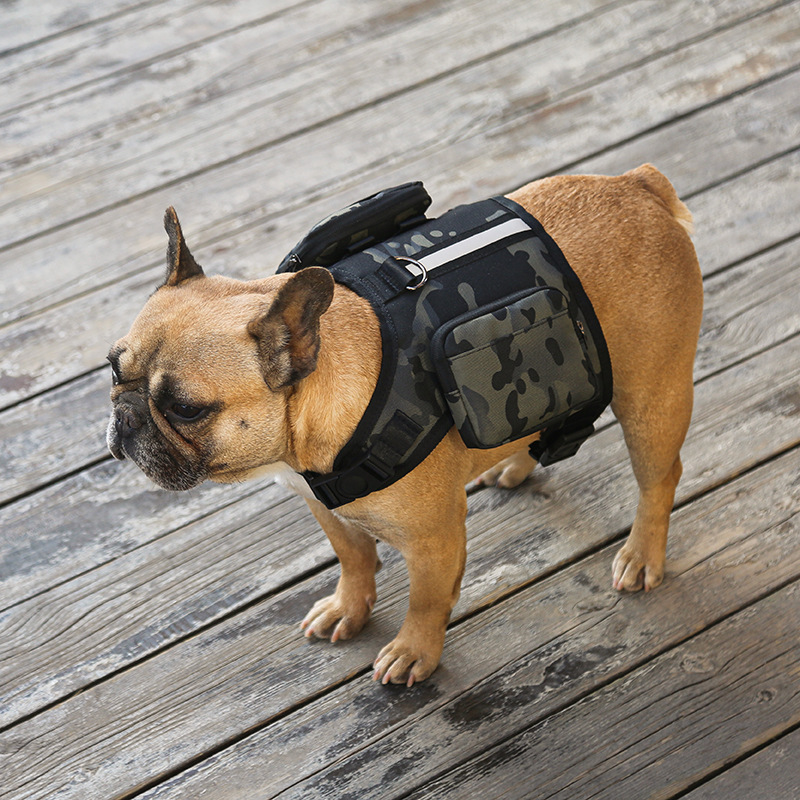 Pet Backpack Image 9